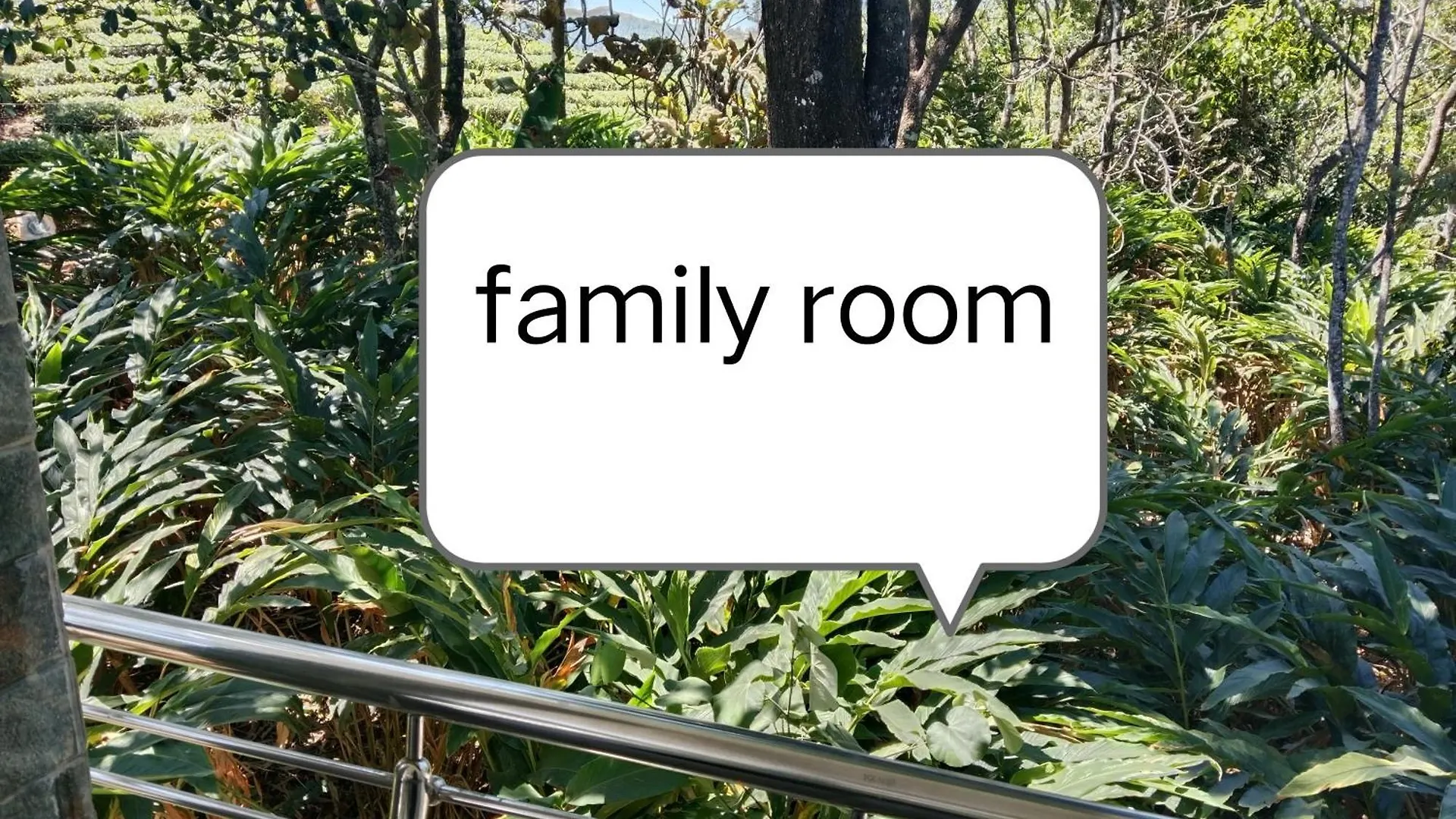 Silver Home Stay バガモン インド